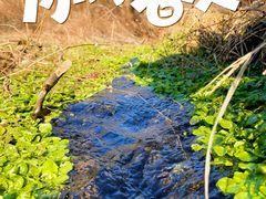 -白水寺森林公园