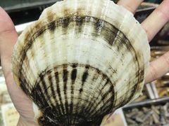 -福来齐·鲁菜海鲜·渔家菜(朝阳街分店)