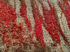 -辛玛王国游乐园