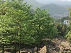 -山沟沟景区