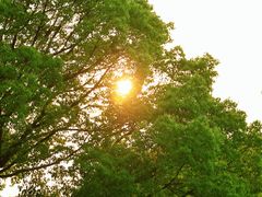 -世纪公园-世纪春沁园