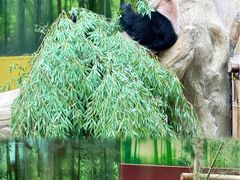 -杭州野生动物世界