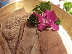-小龙坎火锅(全球旗舰店)