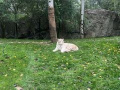 -北京野生动物园