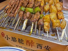 -福苗小骆驼烧烤(莲湖路店)