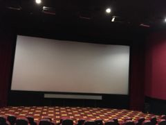 -AMG海上明珠影城(上海环球港RealDCinema店)