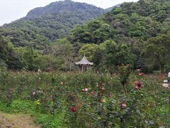 -广州市石门国家森林公园
