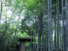 -常寂光寺