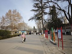 -保定市动物园