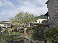 -塔川景区