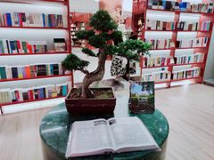 -二酉书店TOYOU BOOKS