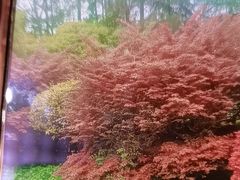 -故乡缘·香格里拉山庄(冷竹路店)
