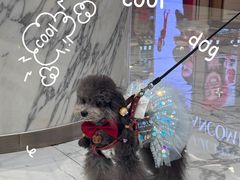 -大商麦凯乐(大连总店)