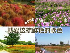 -花开海上生态园