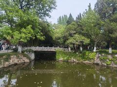 -水绘园