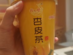 敦煌特饮杏皮水-靖远尕六美味羊羔肉