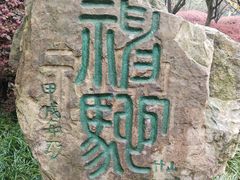 -南山植物园