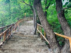 -北京上方山国家森林公园