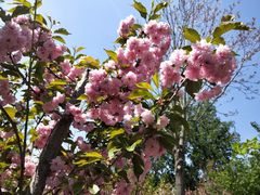 -长白岛森林公园