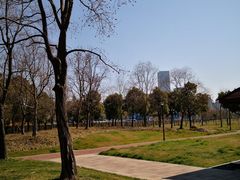 -上海山野camping·户外天幕烧烤·团建拓展营地
