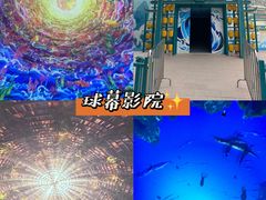 -海合安武汉极地海洋公园