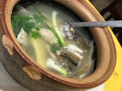 什鱼汤-巫记鸡饭店
