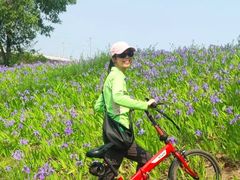 -白鹭湾湿地公园