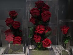-ROSEONLY诺誓(广州K11店)