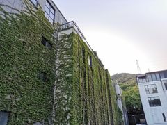-凤凰御元艺术基地