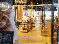 -藏猫猫咖啡主题馆(中央大道店)