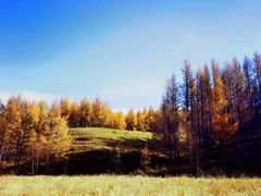 -塞罕坝国家级自然保护区