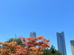 -木塔寺遗址生态公园