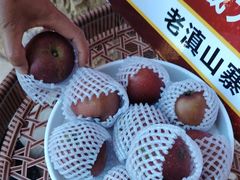 -老滇山寨•云南特色菜•地方菜•民族风情歌舞表演(呈贡店)