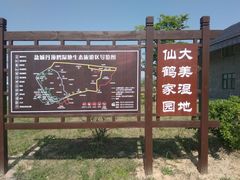 -盐城丹顶鹤湿地生态旅游区