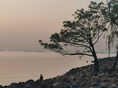-上海吴淞炮台湾国家湿地公园