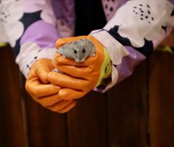 -宝燕乐园(闵行旗舰店)