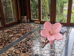 -天芳悦潭度假村温泉