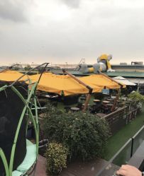 点击看大图 -小蜜蜂农场(凯德七宝购物广场店)