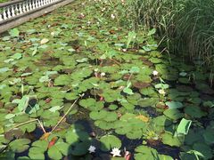 -龚家花园农家乐休闲别墅