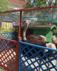 -萌宠亲子动物乐园(槐房万达店)