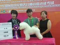 -鑫艺宠物美容培训学校