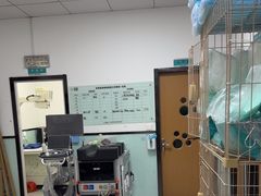 -嘉馨宠物医院·CT影像转诊·心脏科·犬猫全科诊疗中心(下沙大学城院区)