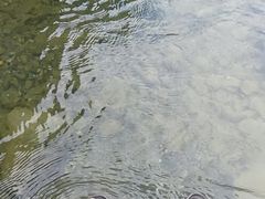 景点-阿依河景区