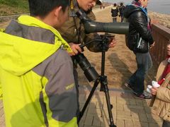 -湖南东洞庭湖国家级自然保护区