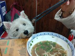 -东方宫·中国兰州牛肉拉面(三里屯店)