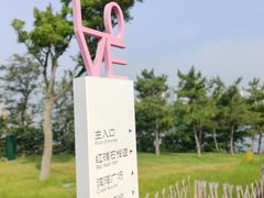 -小麦岛公园