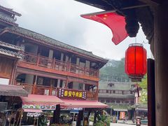 -龙翔山庄雷鸡肉(青城后山泰安古镇店)