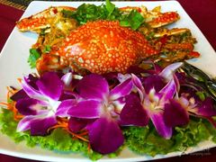 -Daddy Nimman Chiang Mai