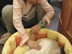 -猫色咖啡·猫咖