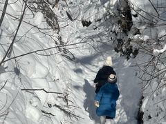 -峡谷浮石林景区